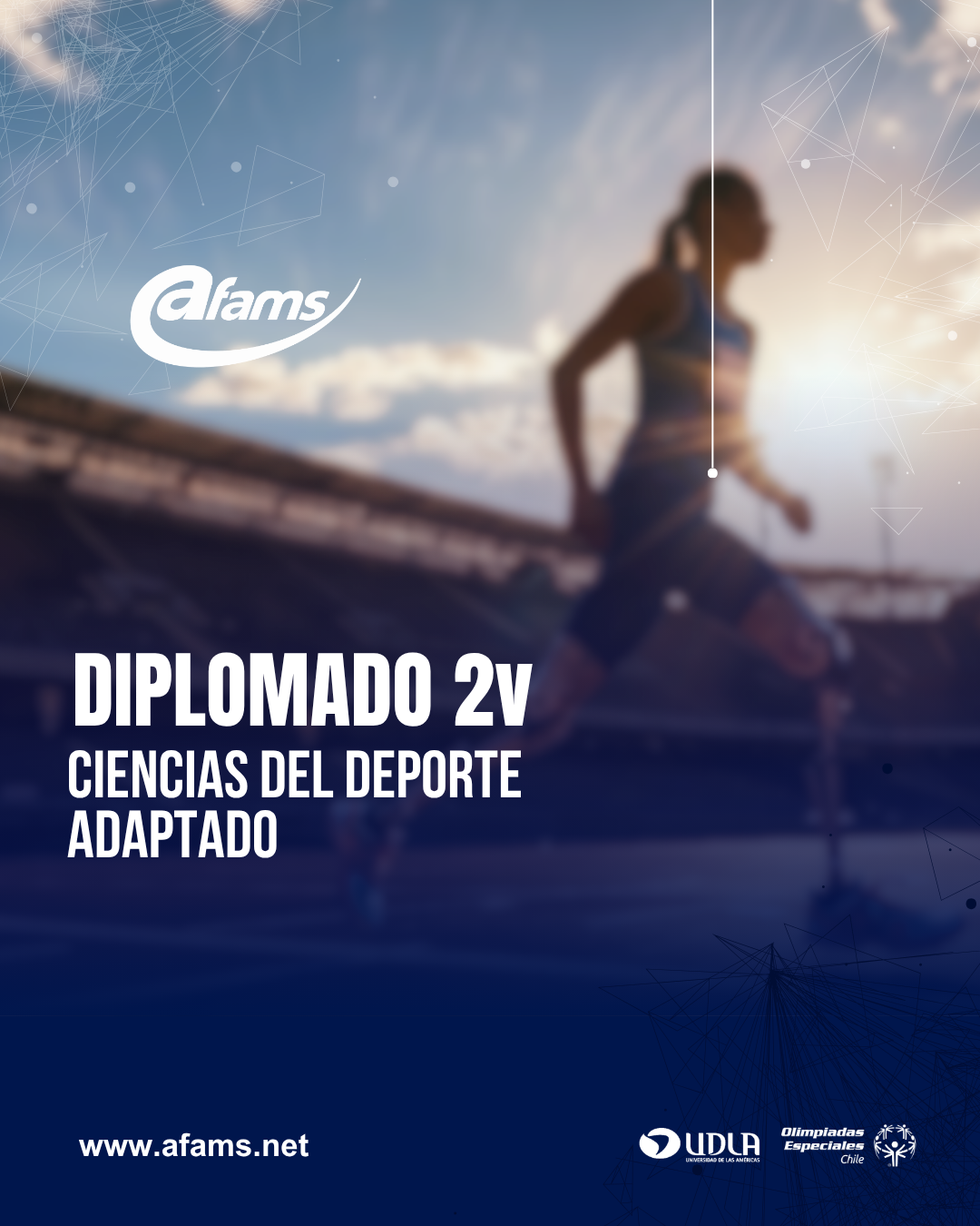 Ir a Diplomado CIDEDA
